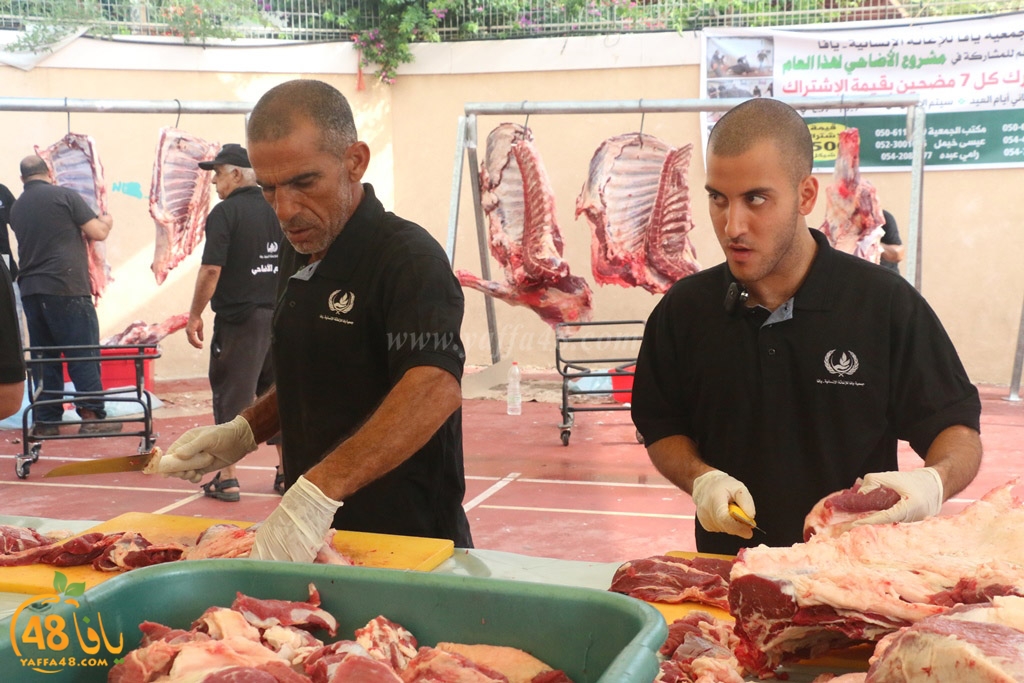 ada7y forthei (39).JPG